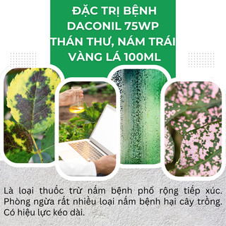 Chế Phẩm Xử Lí Benh Daconil 75WP Thán Thư, Nám Trái, Đốm Quả, Vàng Lá - chai 100ml