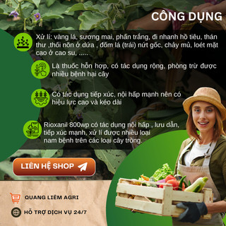 Chế Phẩm Ngừa Nam Ridoxanil 800WP, Thán Thư, Sương Mai, Thối Nhũn, Cây Trồng (Gói 100gram)
