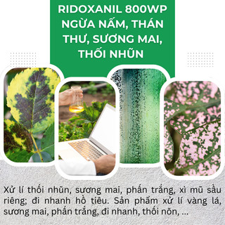 Chế Phẩm Ngừa Nam Ridoxanil 800WP, Thán Thư, Sương Mai, Thối Nhũn, Cây Trồng (Gói 100gram)