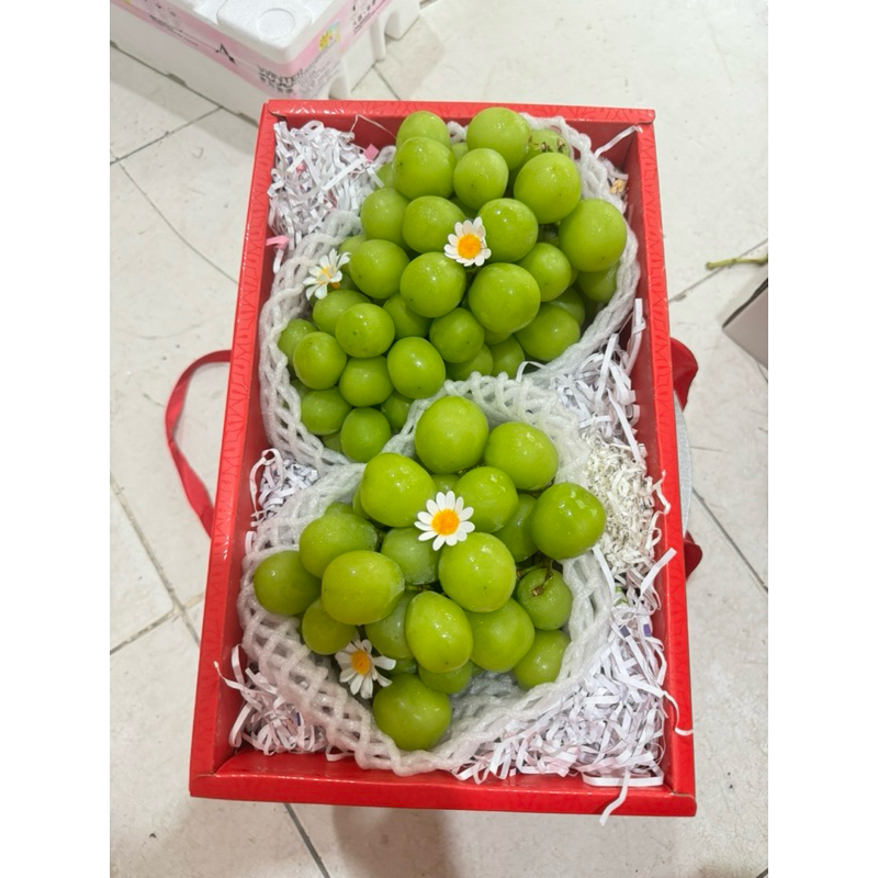 giAo nhanh HCM) sét quà nho biếu tặng sinh nhật xinh xắn