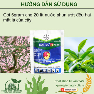 Chế Phẩm Xử Lí Nam Nativo 750WG Đốm Vằn, Đạo Ôn, Lép Hạt (6gram)