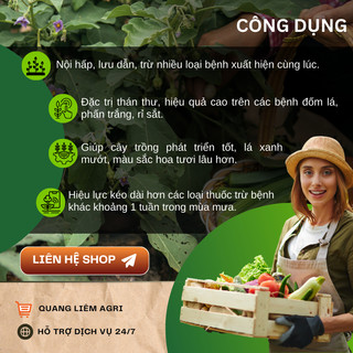 Chế Phẩm Xử Lí Nam Nativo 750WG Đốm Vằn, Đạo Ôn, Lép Hạt (6gram)