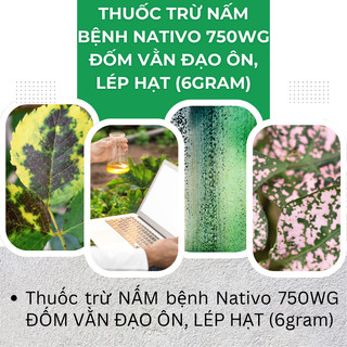 Chế Phẩm Xử Lí Nam Nativo 750WG Đốm Vằn, Đạo Ôn, Lép Hạt (6gram)