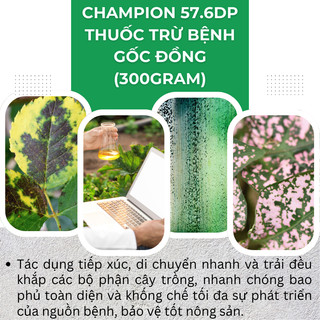 Chế Phẩm Xử Lí Benhh Gốc Đồng Champion 57.6dp - Copper Hydroxide (Gói 100gram)