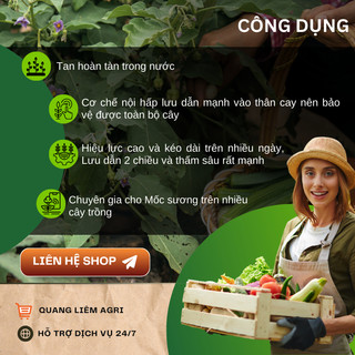 Chế Phẩm Xử Lí Nam Benh Melody Duo 66,75WP Bayer, Xử Lí Sương Mai (Gói 100gram)