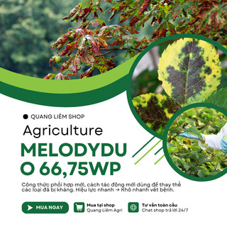 Chế Phẩm Xử Lí Nam Benh Melody Duo 66,75WP Bayer, Xử Lí Sương Mai (Gói 100gram)