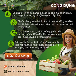 Chế phẩm xử lí nấm cây trồng ANTRACOL 70WP (100gram), áo giáp kẽm bảo vệ cây, dạng bột