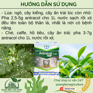 Chế phẩm xử lí nấm cây trồng ANTRACOL 70WP (100gram), áo giáp kẽm bảo vệ cây, dạng bột