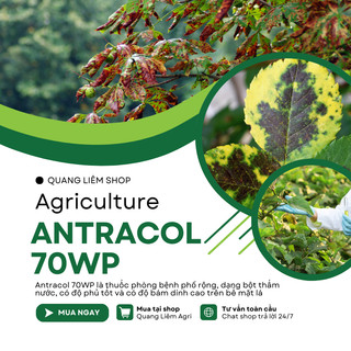 Chế phẩm xử lí nấm cây trồng ANTRACOL 70WP (100gram), áo giáp kẽm bảo vệ cây, dạng bột