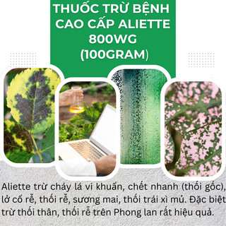 Chế phẩm xử lí nấm Aliette 800WG (100gr), Chế phẩm lưu dẫn 2 chiều, ngừa bệnh tốt cho cây trồng