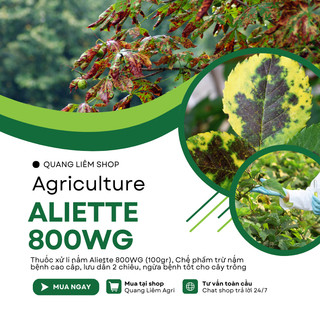 Chế phẩm xử lí nấm Aliette 800WG (100gr), Chế phẩm lưu dẫn 2 chiều, ngừa bệnh tốt cho cây trồng