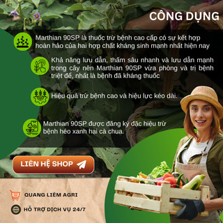Chế Phẩm Xử Lí Vi Khuẩn Marthian 90sp Hợp Chất Khang Sinh Mạnh Nhất (Gói 3gram)