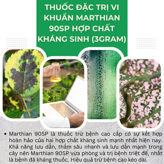 Chế Phẩm Xử Lí Vi Khuẩn Marthian 90sp Hợp Chất Khang Sinh Mạnh Nhất (Gói 3gram)