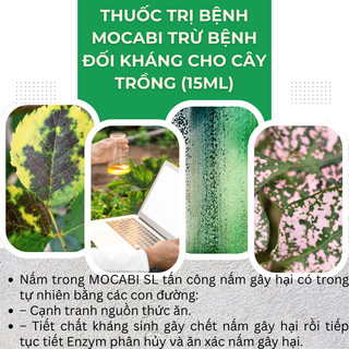 Chế phẩm xử lí nấm Mocabi (gói 15ml) – Xử lí benh Đối Kháng Cho Cây Trồng