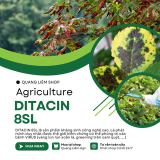 Thuoc Xử Lí Nam Benh Ditacin 8sl - Hết Héo Rũ, Benh Khảm, Sương Mai, Vàng Lá (Gói 12ml)