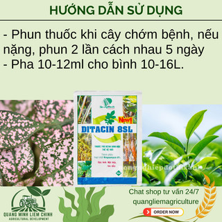 Thuoc Xử Lí Nam Benh Ditacin 8sl - Hết Héo Rũ, Benh Khảm, Sương Mai, Vàng Lá (Gói 12ml)