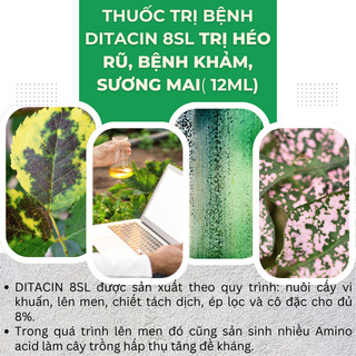 Thuoc Xử Lí Nam Benh Ditacin 8sl - Hết Héo Rũ, Benh Khảm, Sương Mai, Vàng Lá (Gói 12ml)