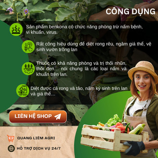 Chế Phẩm Sát Khuẩn Benkona Minh Ngân - Diệt Rêu, Nấm Mốc Trên Giá Thể Trồng Hoa Lan (100ml)
