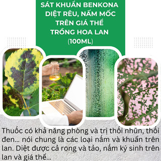 Chế Phẩm Sát Khuẩn Benkona Minh Ngân - Diệt Rêu, Nấm Mốc Trên Giá Thể Trồng Hoa Lan (100ml)