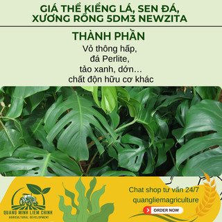 Giá Thể Kiểng Lá, Sen Đá, Xương Rồng, Ươm Tách Cây Con 5dm3 Newzita Soil New Mix