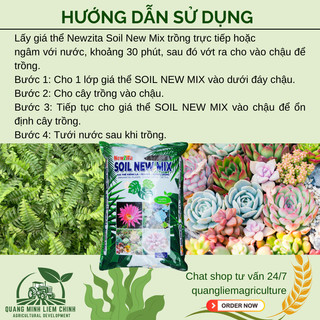 Giá Thể Kiểng Lá, Sen Đá, Xương Rồng, Ươm Tách Cây Con 5dm3 Newzita Soil New Mix