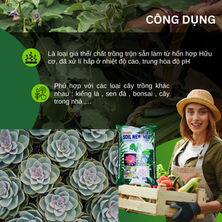 Giá Thể Kiểng Lá, Sen Đá, Xương Rồng, Ươm Tách Cây Con 5dm3 Newzita Soil New Mix