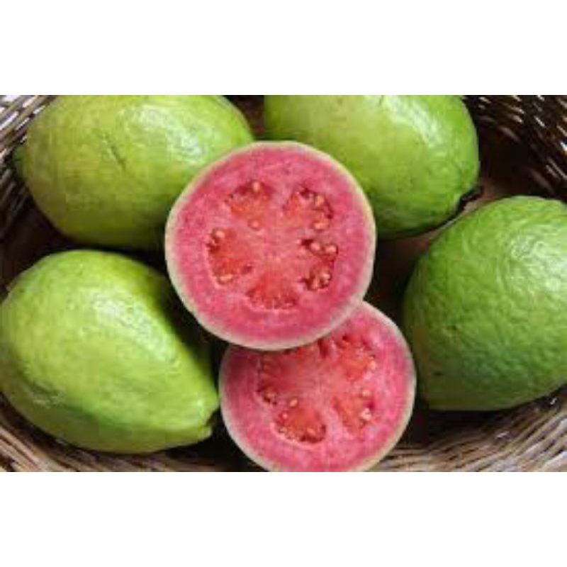 1kg Kali Bo dạng Bột Mịn - ( 1kg pha 100 lít nước ) Tưới gốc, ngăn rụng trái, tăng độ giòn ngọt cho trái, Nứt trái