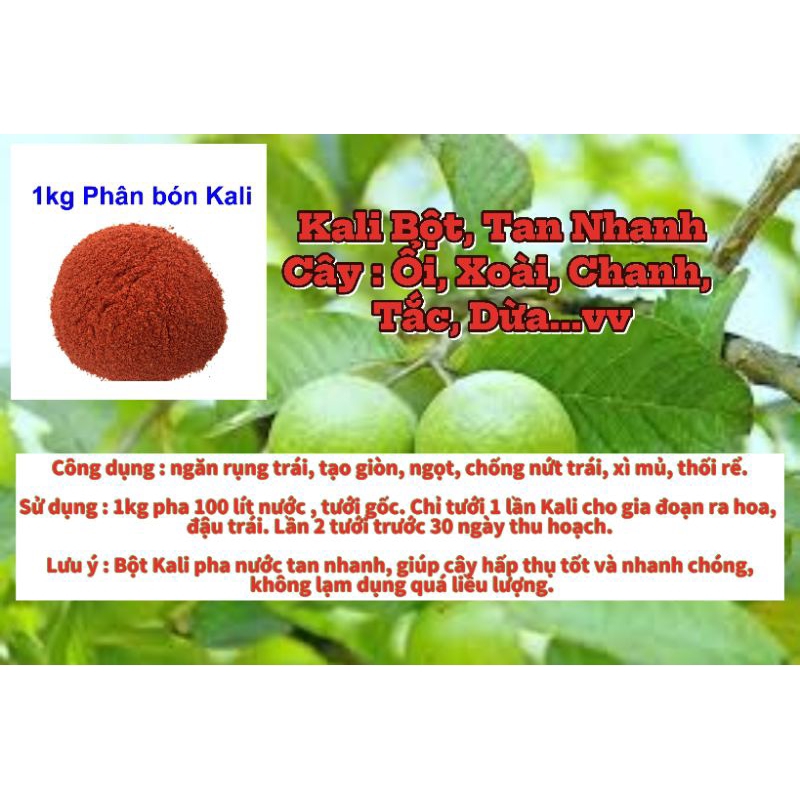 1kg Kali Bo dạng Bột Mịn - ( 1kg pha 100 lít nước ) Tưới gốc, ngăn rụng trái, tăng độ giòn ngọt cho trái, Nứt trái