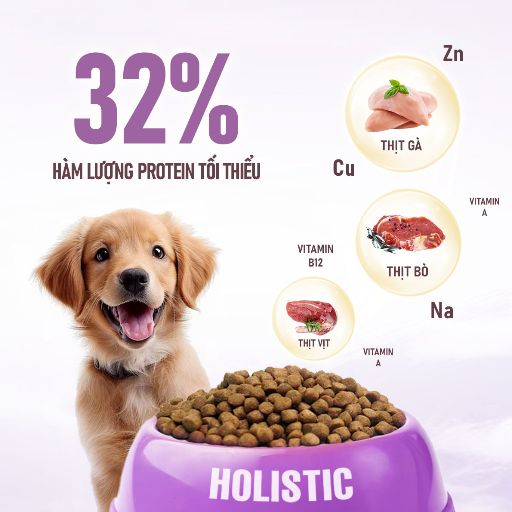 [1.6KG] ANF HOLISTIC - Thức ăn hạt cho chó dinh dưỡng đạt chuẩn Hoa Kỳ