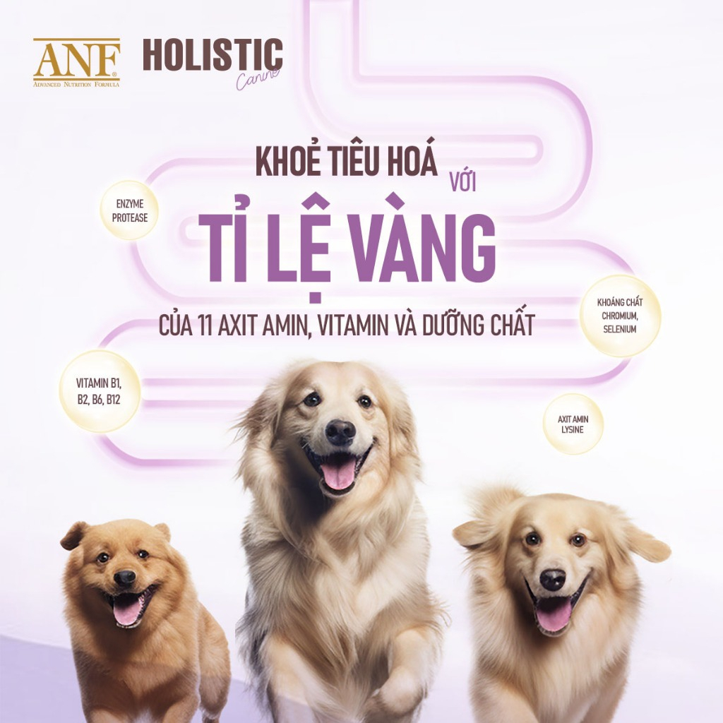 [1.6KG] ANF HOLISTIC - Thức ăn hạt cho chó dinh dưỡng đạt chuẩn Hoa Kỳ