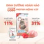 CATSRANG 5KG (Bao Bì Mới) - Thức ăn hạt Cho Mèo Mọi Lứa Tuổi nhập khẩu Hàn Quốc