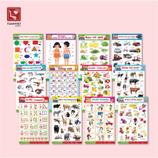 Bộ Tranh Treo Tường TUANVIET BOOKS  (Song Ngữ)  12 CHỦ ĐỀ Cho Bé Nhận Biết - NXB Hà Nội
