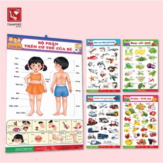 Bộ Tranh Treo Tường TUANVIET BOOKS  (Song Ngữ)  12 CHỦ ĐỀ Cho Bé Nhận Biết - NXB Hà Nội
