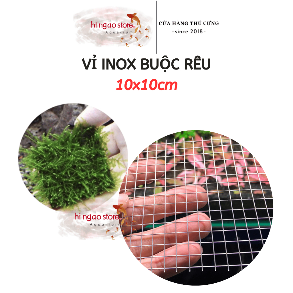 Vỉ Inox 304 buộc rêu 10x10cm, Vỉ Inox 304 ươm rêu - Phụ kiện thủy sinh ...