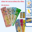 Găng tay rửa bát, rửa chén siêu dai Đông Cầu Vồng, chống thấm nước, bảo vệ da tay full size