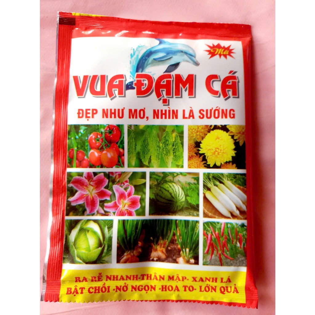 VUA ĐẠM CÁ RA RỄ NHANH,THÂN MẬP,XANH LÁ,BẬT CHỒI,NỞ NGỌN,HOA TO,LỚN QUẢ ...