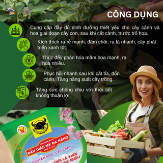 Phân bón đầu trâu đa năng NPK 17-12-7 (túi 1kg), Cho hoa và cây cảnh - Chồi lá khỏe, ra hoa nhiều
