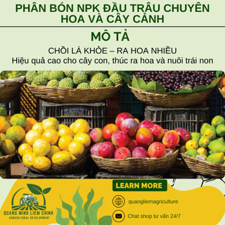 Phân bón đầu trâu đa năng NPK 17-12-7 (túi 1kg), Cho hoa và cây cảnh - Chồi lá khỏe, ra hoa nhiều