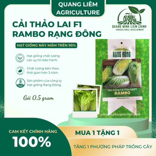 Hạt Giống Cải Thảo Rambo (Gói 0,5g~120 Hạt) Rạng Đông, Bắp Cải To, Chịu Nhiệt Tốt, Trồng Quanh Năm