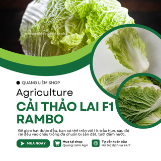 Hạt Giống Cải Thảo Rambo (Gói 0,5g~120 Hạt) Rạng Đông, Bắp Cải To, Chịu Nhiệt Tốt, Trồng Quanh Năm
