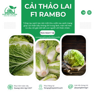 Hạt Giống Cải Thảo Rambo (Gói 0,5g~120 Hạt) Rạng Đông, Bắp Cải To, Chịu Nhiệt Tốt, Trồng Quanh Năm