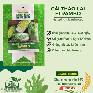 Hạt Giống Cải Thảo Rambo (Gói 0,5g~120 Hạt) Rạng Đông, Bắp Cải To, Chịu Nhiệt Tốt, Trồng Quanh Năm