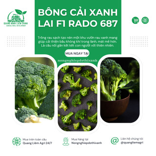 Hạt Giống Bông Cải Xanh RADO 687 (Gói 0,2g~75 Hạt) Rạng Đông, Sinh Trưởng Tốt - [Súp Lơ Xanh]