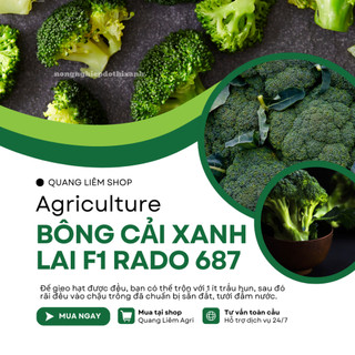 Hạt Giống Bông Cải Xanh RADO 687 (Gói 0,2g~75 Hạt) Rạng Đông, Sinh Trưởng Tốt - [Súp Lơ Xanh]