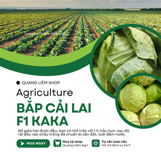Hạt Giống Bắp Cải Lai F1 Kaka (Gói 0,5gram~150 Hạt) Rạng Đông, Trồng Quanh Năm, Chịu Nhiệt Tốt