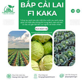 Hạt Giống Bắp Cải Lai F1 Kaka (Gói 0,5gram~150 Hạt) Rạng Đông, Trồng Quanh Năm, Chịu Nhiệt Tốt