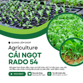 Hạt Giống Cải Ngọt RADO 54 (Gói 20g ~ 6000 Hạt) Rạng Đông, Dễ Gieo Trồng, Thu Hoạch Nhanh