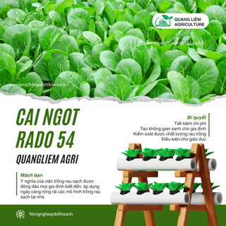 Hạt Giống Cải Ngọt RADO 54 (Gói 20g ~ 6000 Hạt) Rạng Đông, Dễ Gieo Trồng, Thu Hoạch Nhanh