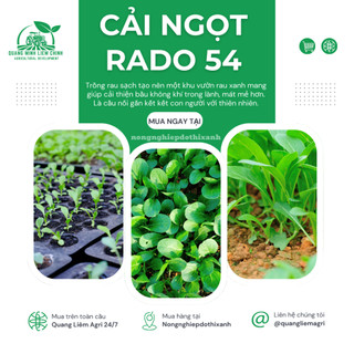 Hạt Giống Cải Ngọt RADO 54 (Gói 20g ~ 6000 Hạt) Rạng Đông, Dễ Gieo Trồng, Thu Hoạch Nhanh