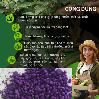 Phân Bón Hỗn Hợp 15-5-20 Minro (200gram) - Ra Hoa, Ra Trái, Nuôi Hoa, Nuôi Trái Khỏe Mạnh, hiệu quả